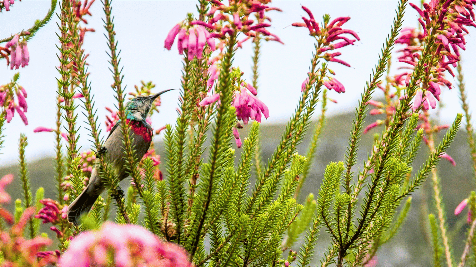 "If you can survive, you can thrive"